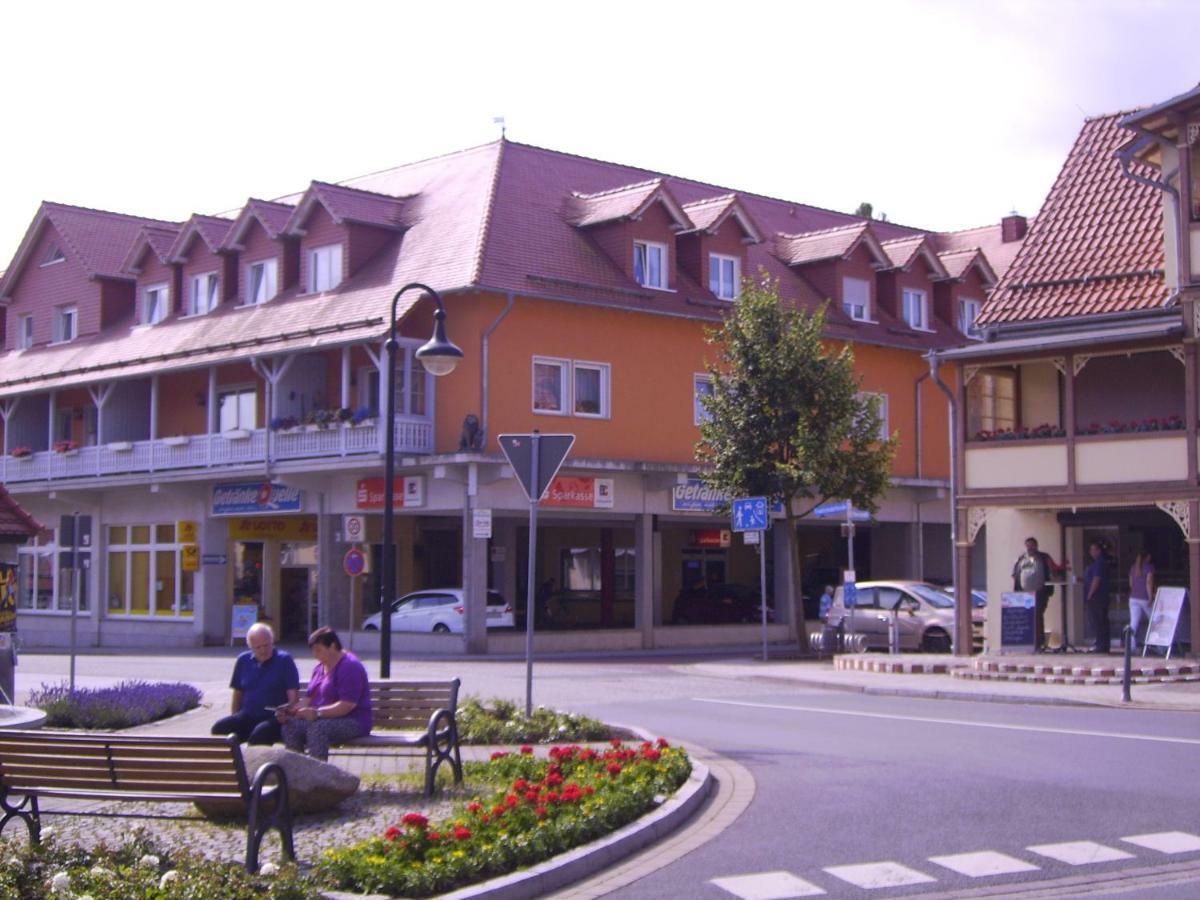 Ferienwohnung Froehlich Bad Suderode Exterior foto